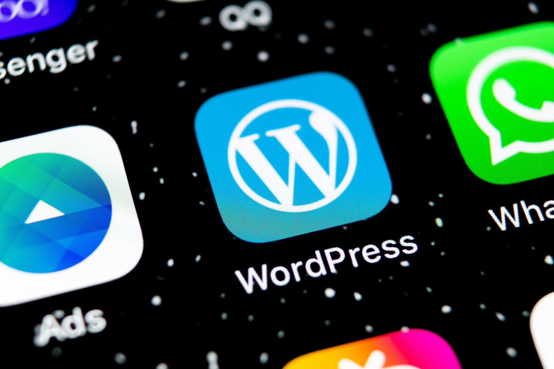 logo wordpress