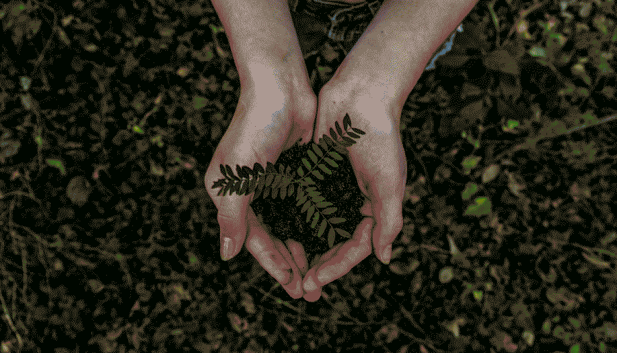 Un individu soutenant une plante, illustrant l'importance de la nature et le soin apporté à l'environnement.